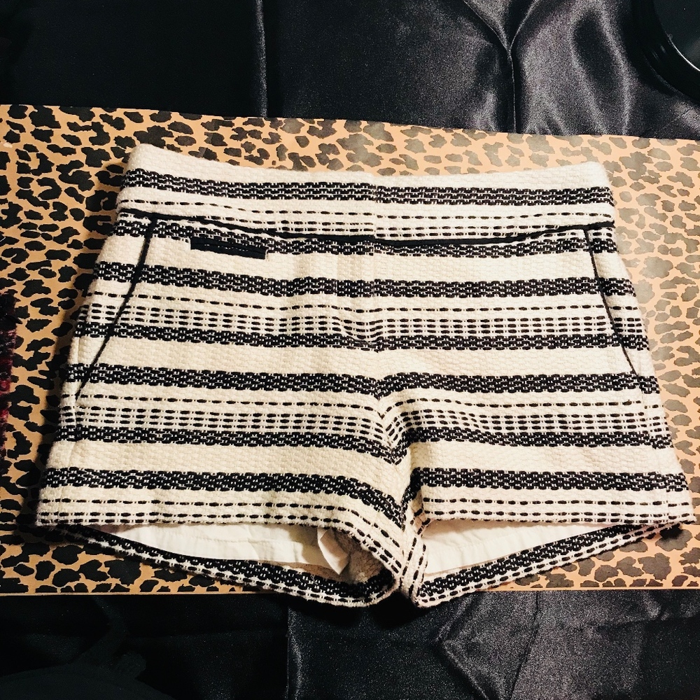 Ann Taylor Loft Shorts